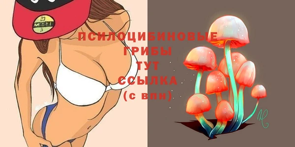 индика Балахна