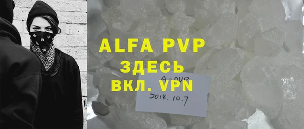 индика Балахна
