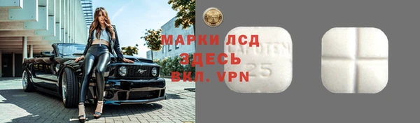индика Балахна