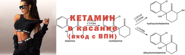 индика Балахна