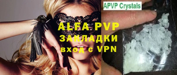 индика Балахна