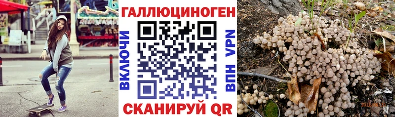 купить   Новоузенск  Галлюциногенные грибы MAGIC MUSHROOMS 